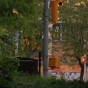 Meet your Posher, Lea